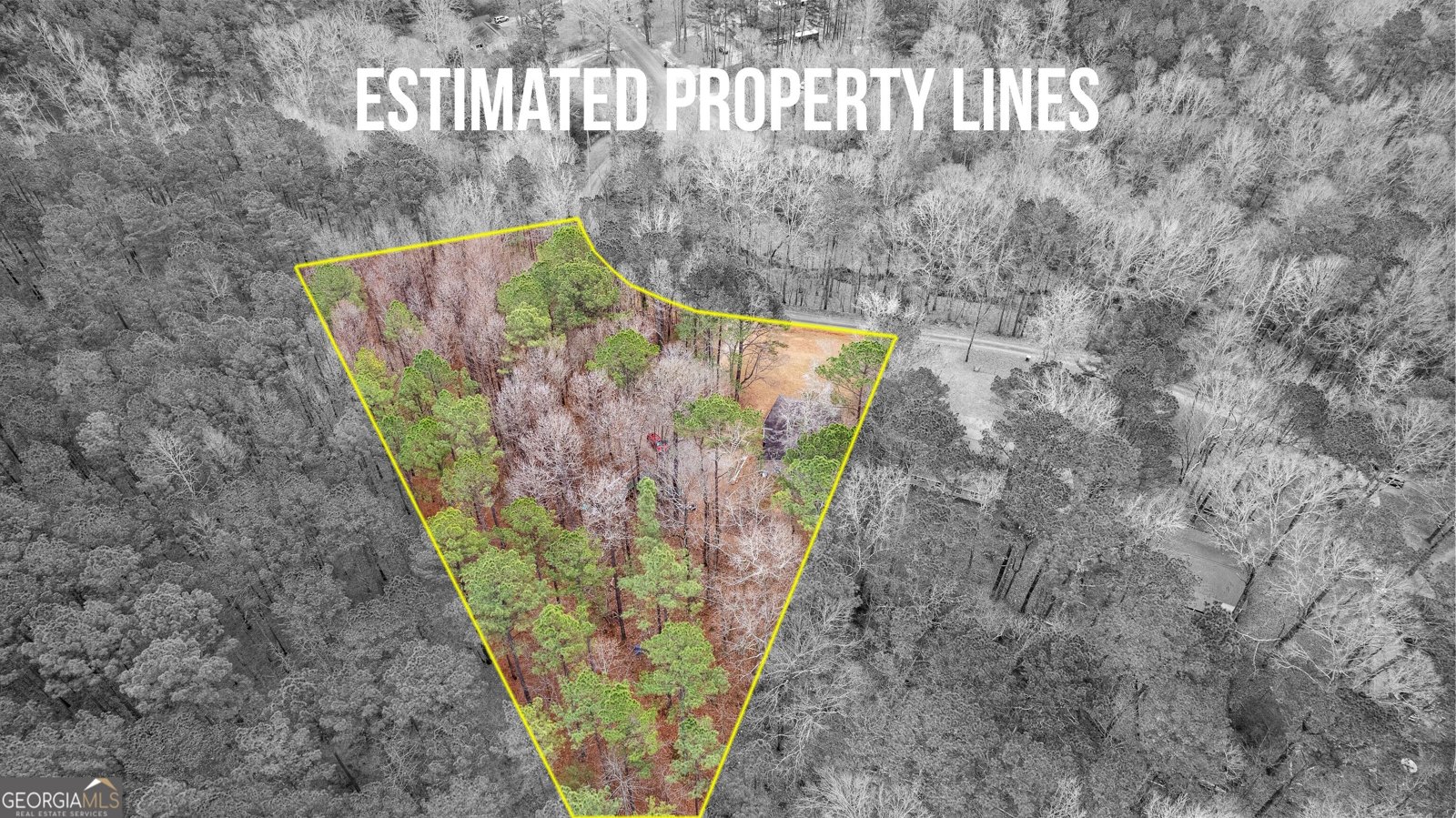 247 Tinica Way Newnan - Photo 44