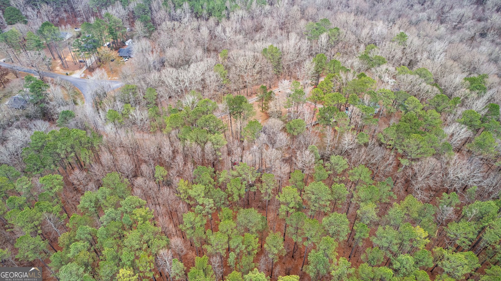 247 Tinica Way Newnan - Photo 45