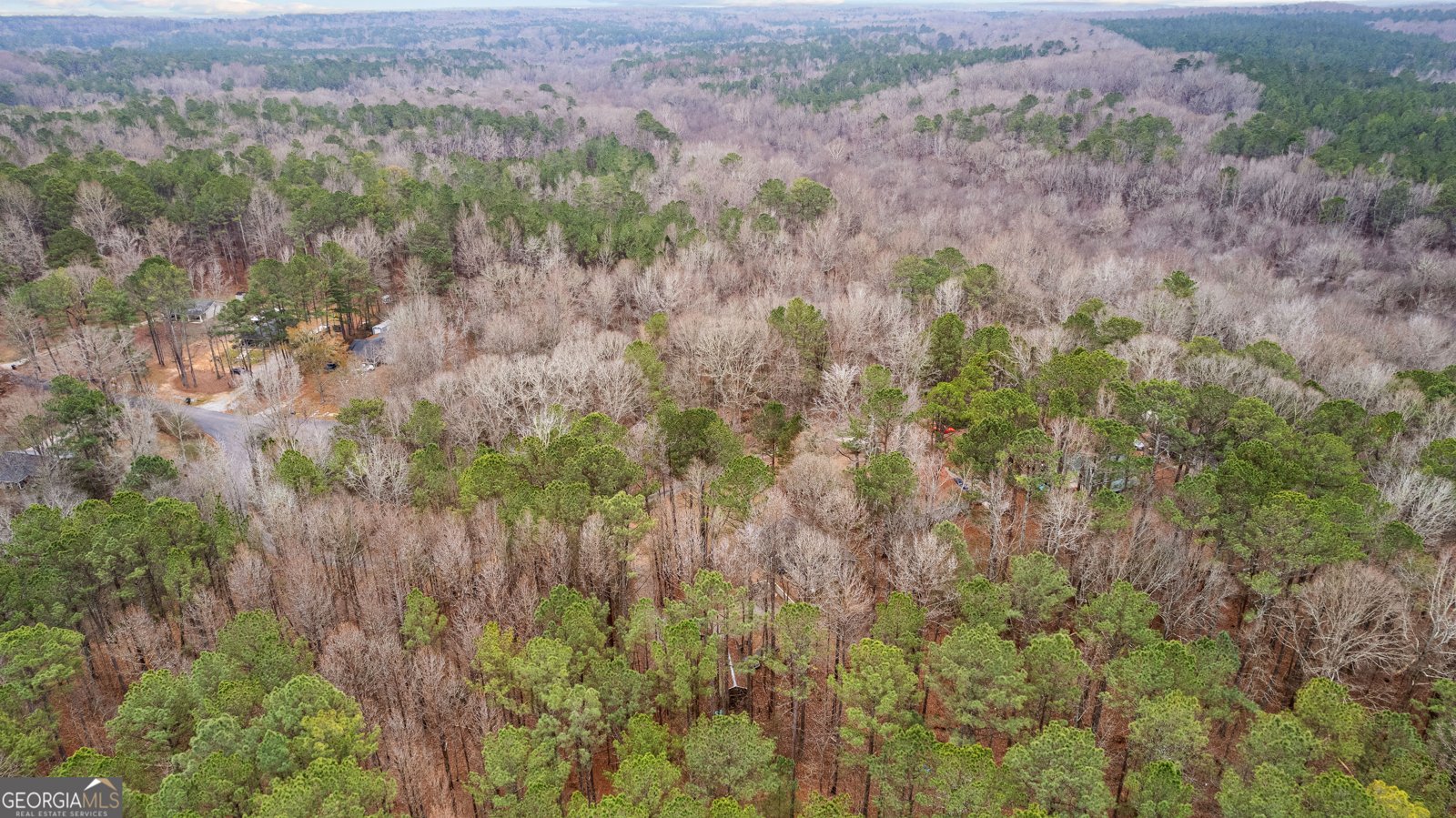 247 Tinica Way Newnan - Photo 46