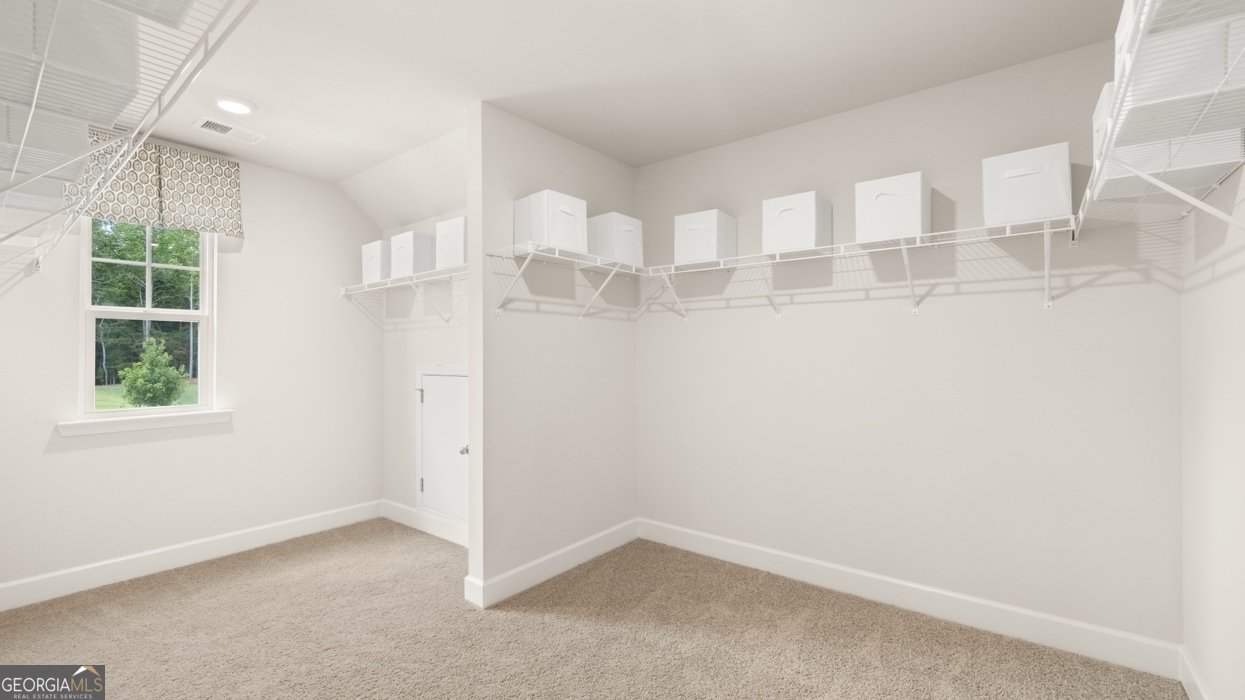 345 Staffin Drive Senoia - Photo 38