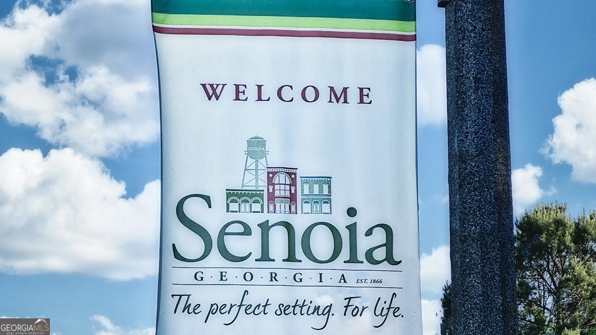 345 Staffin Drive Senoia - Photo 62