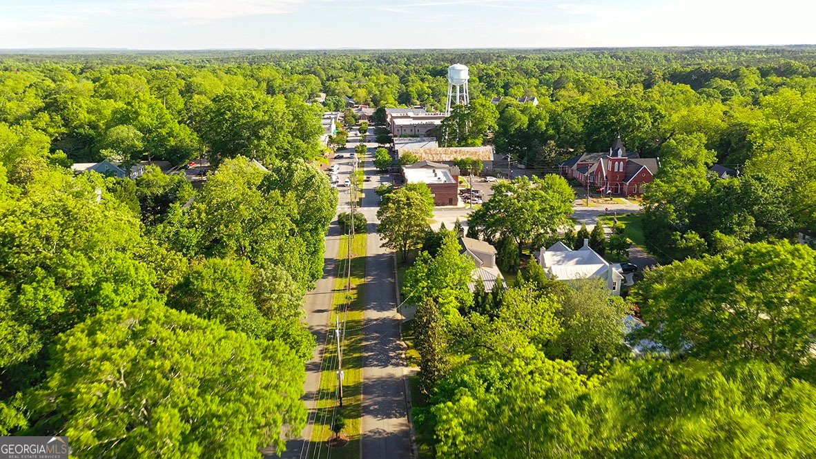 345 Staffin Drive Senoia - Photo 78