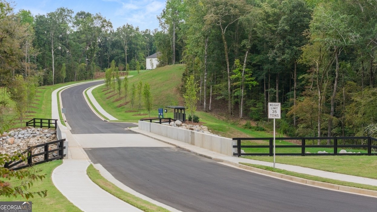 345 Staffin Drive Senoia - Photo 79