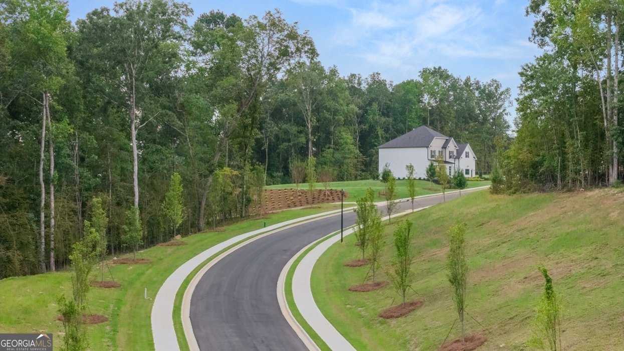 345 Staffin Drive Senoia - Photo 81