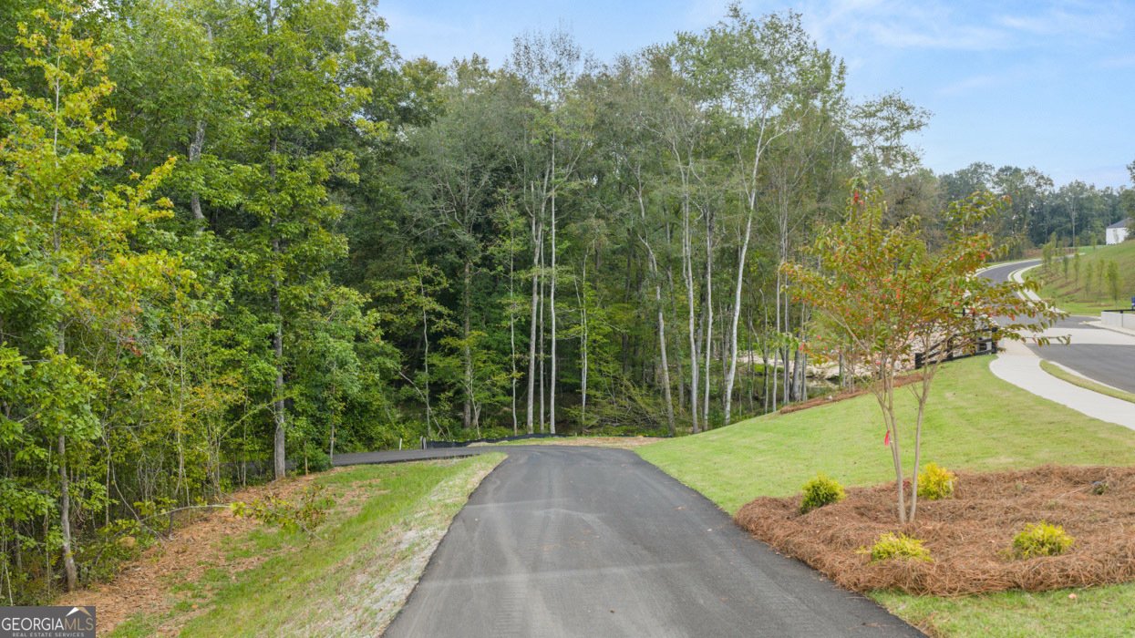 345 Staffin Drive Senoia - Photo 82