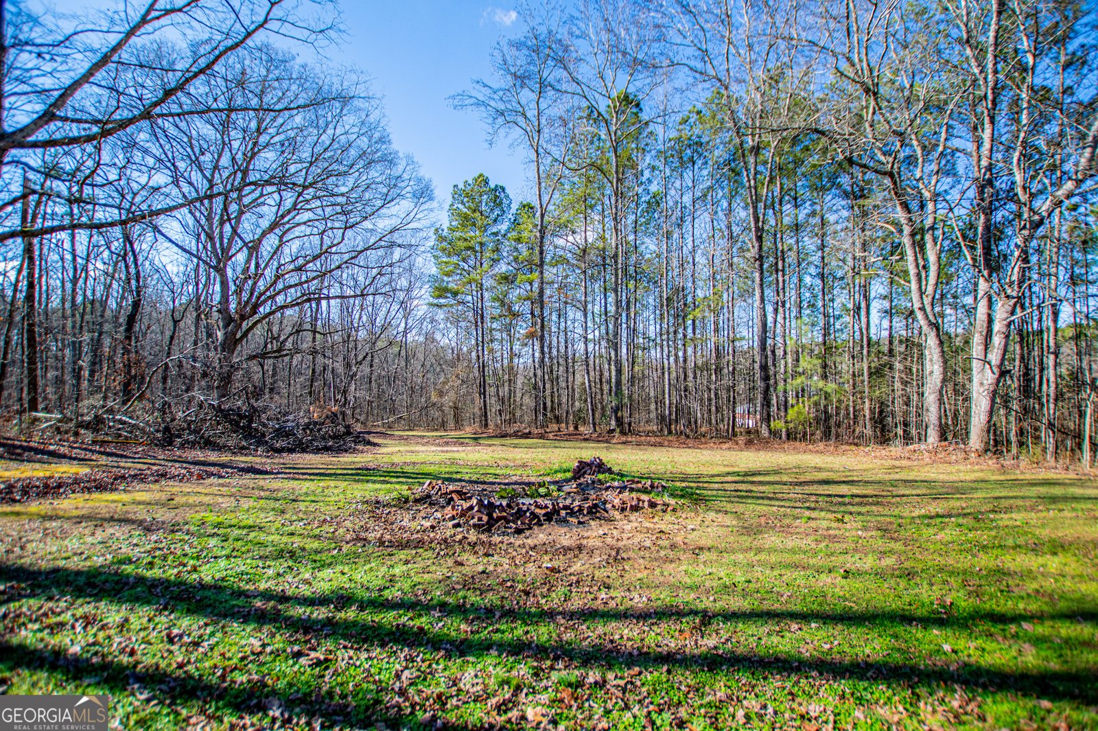 3646 Jones Mill Road Carrollton - Photo 52