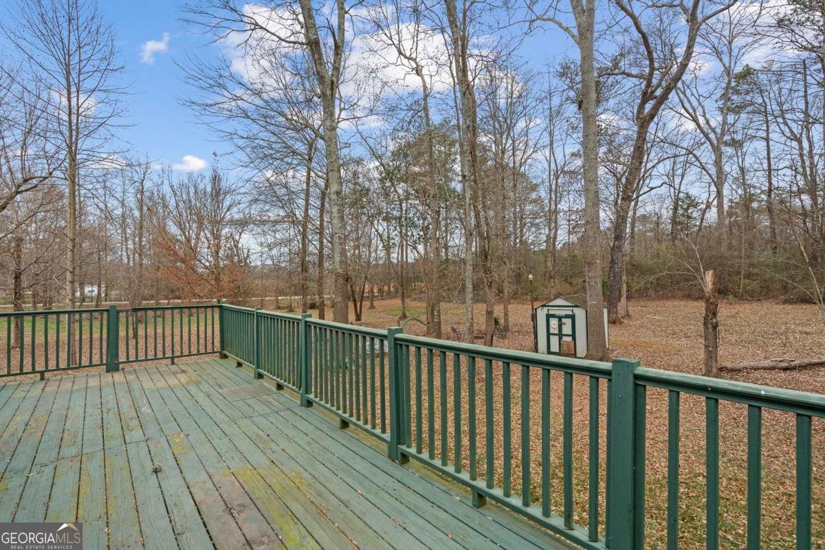 465 Bethesda Church Road Carrollton - Photo 38