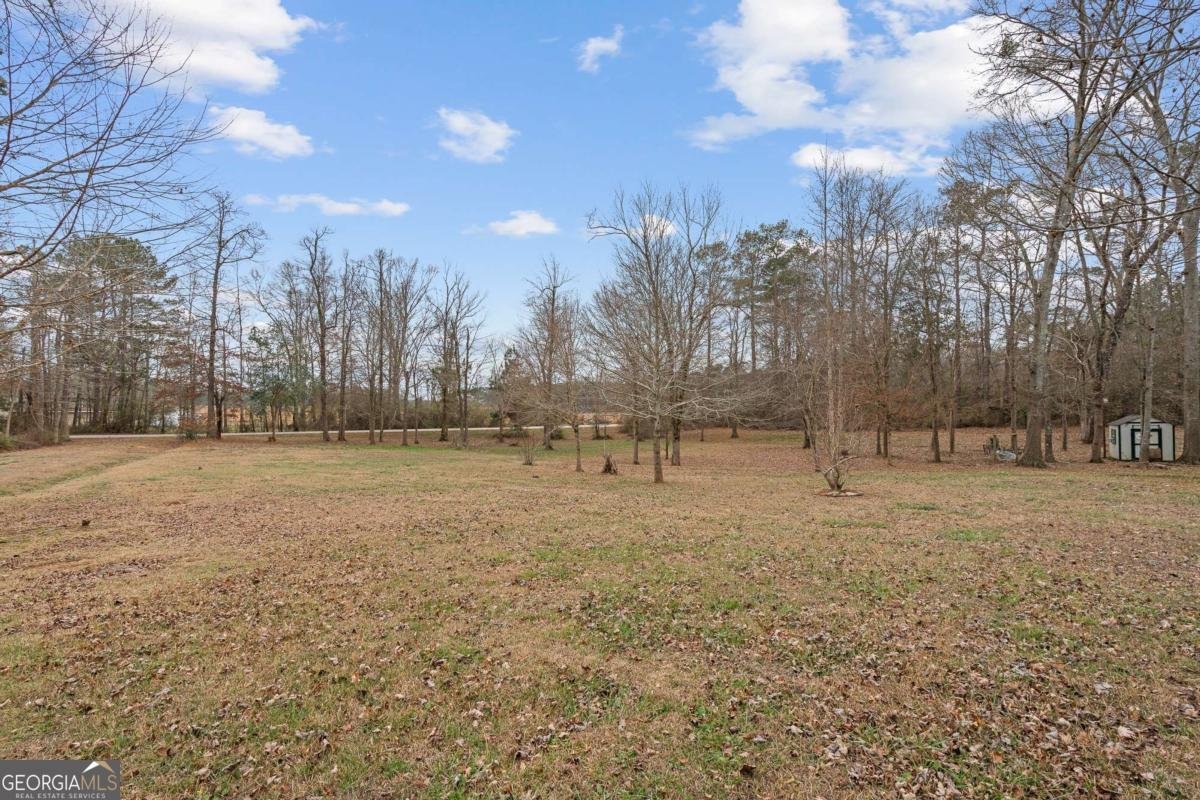 465 Bethesda Church Road Carrollton - Photo 40