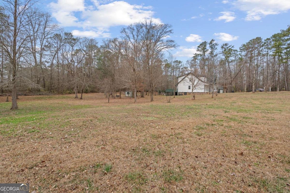 465 Bethesda Church Road Carrollton - Photo 43