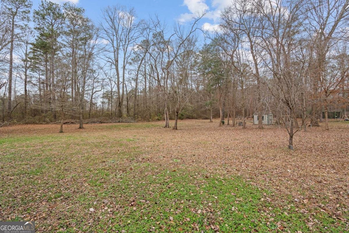 465 Bethesda Church Road Carrollton - Photo 44