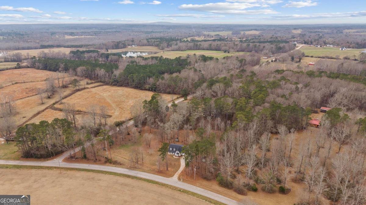 465 Bethesda Church Road Carrollton - Photo 47