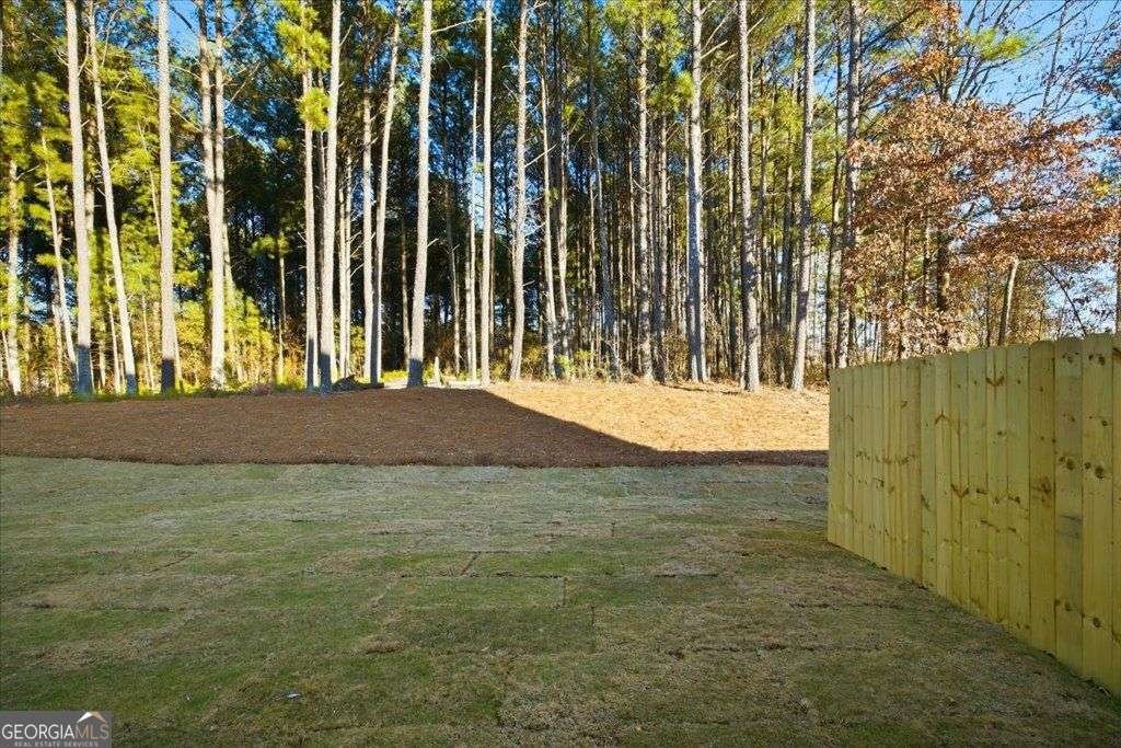 2555 RIVERSIDE Road Conyers - Photo 27