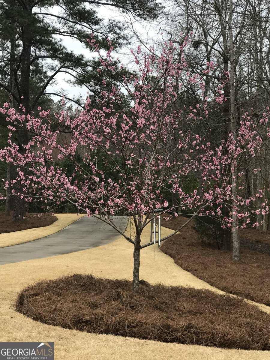27 Retreat Ridge Cartersville - Photo 17