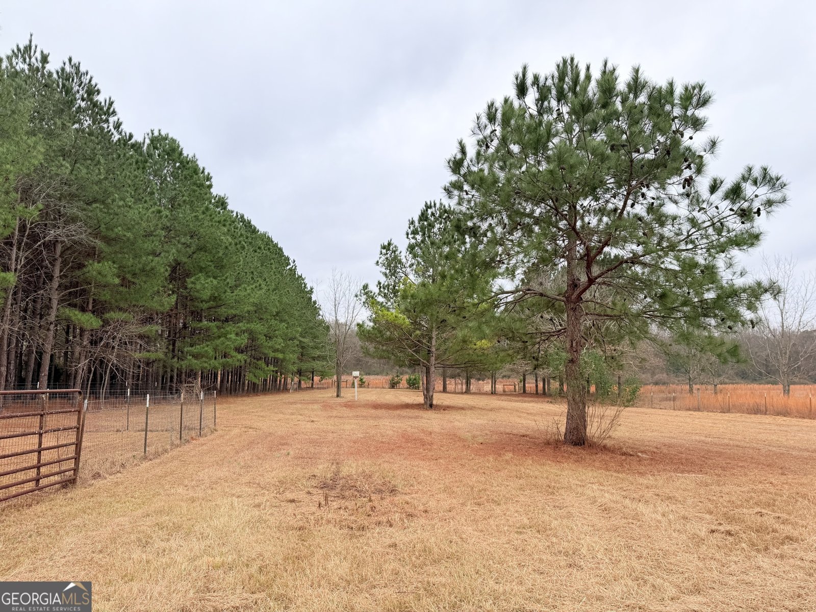 788 Ellis Road Elko - Photo 33