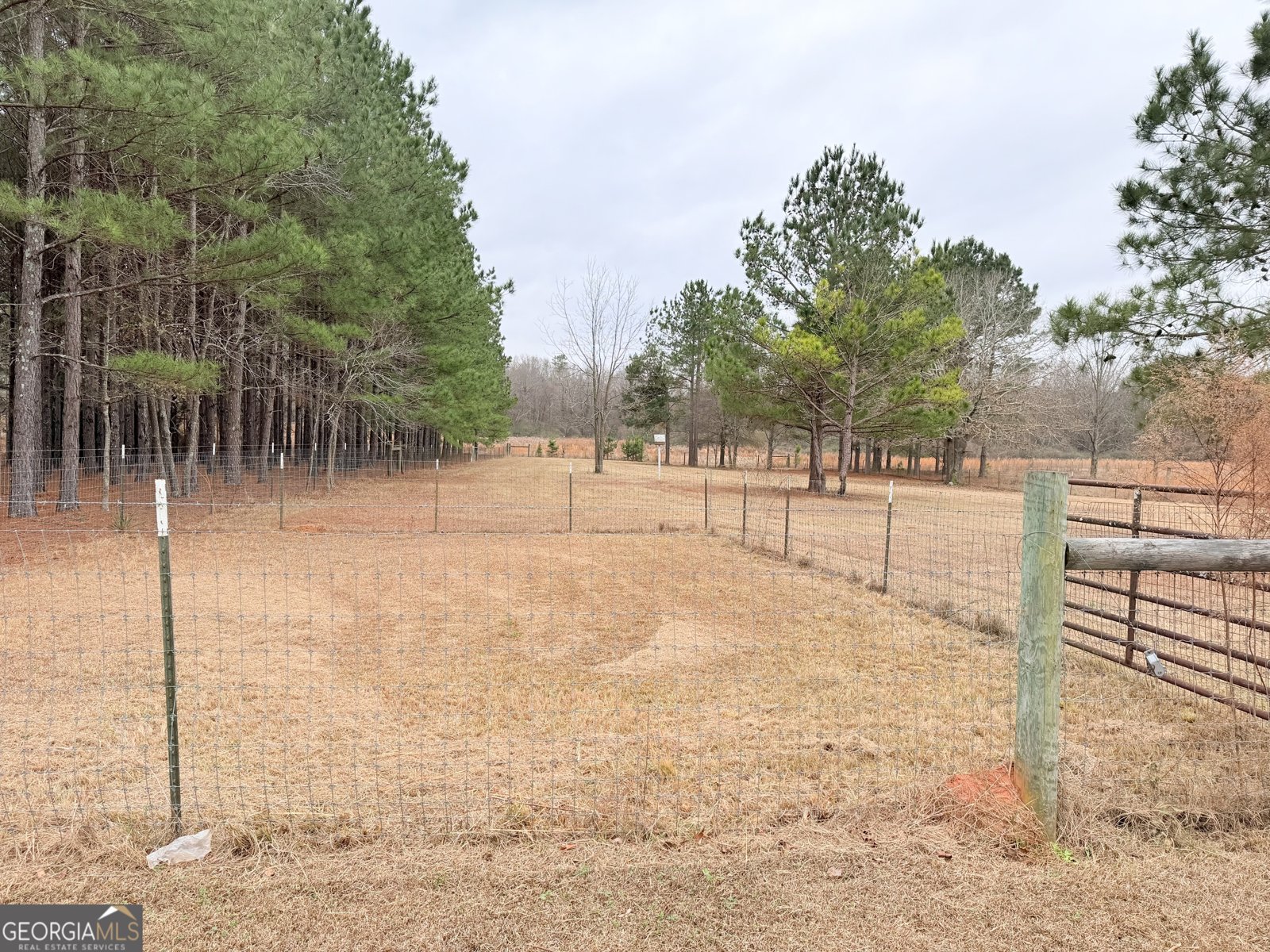 788 Ellis Road Elko - Photo 36