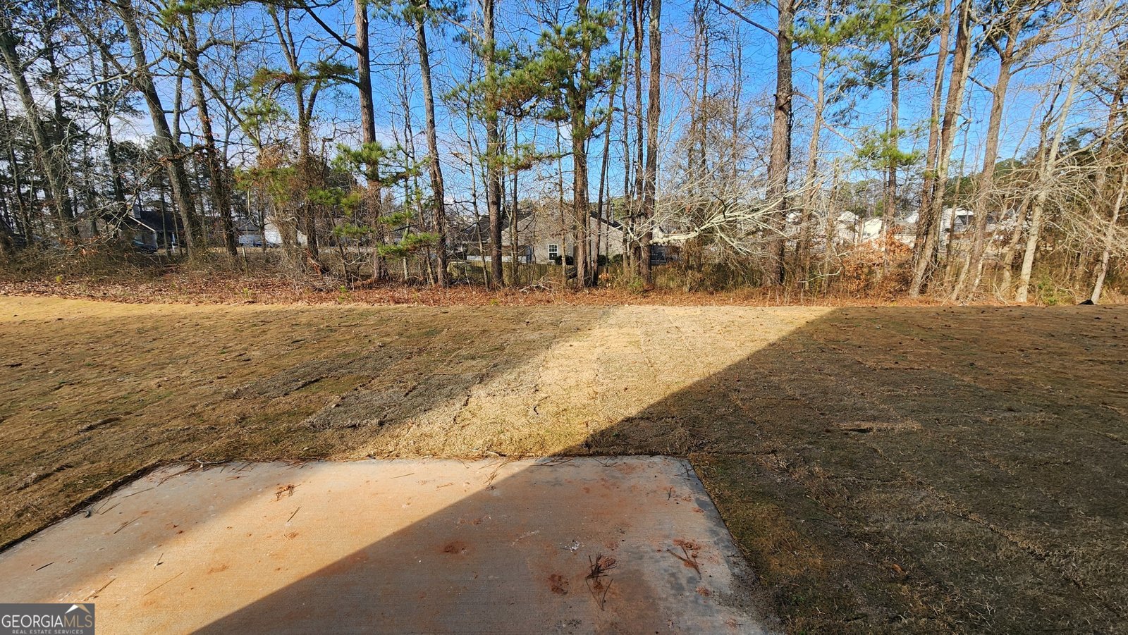 78 Silverleaf Trail Bethlehem - Photo 31