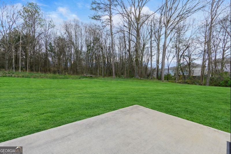 594 Paxton Lane Jefferson - Photo 46