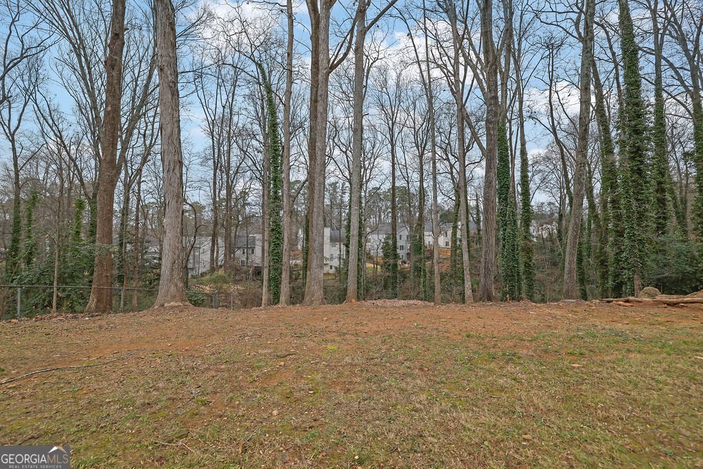 3091 Clifton Road Smyrna - Photo 33