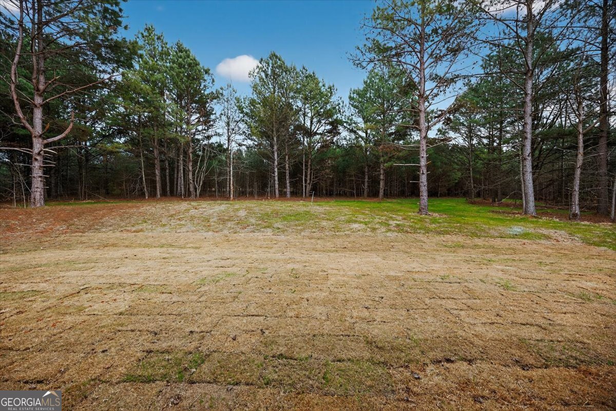 98 Mud Bridge Road The Rock - Photo 36