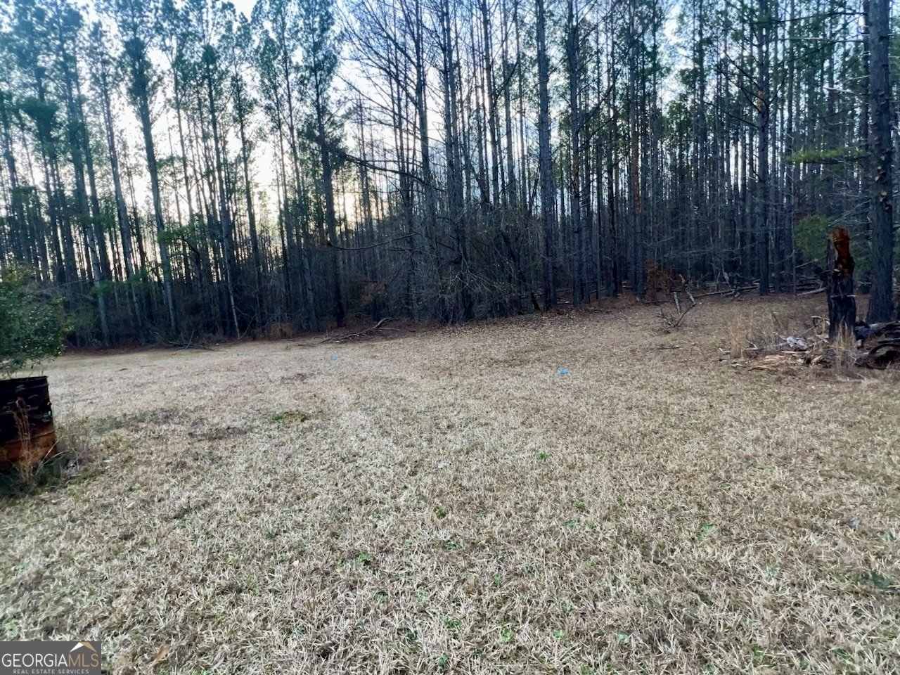 882 Caldwell Road Gay - Photo 16