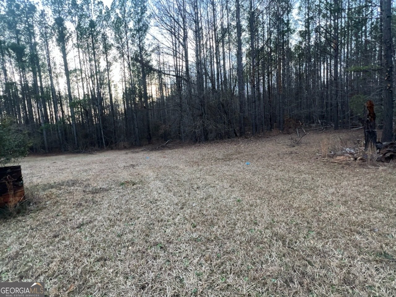 882 Caldwell Road Gay - Photo 17