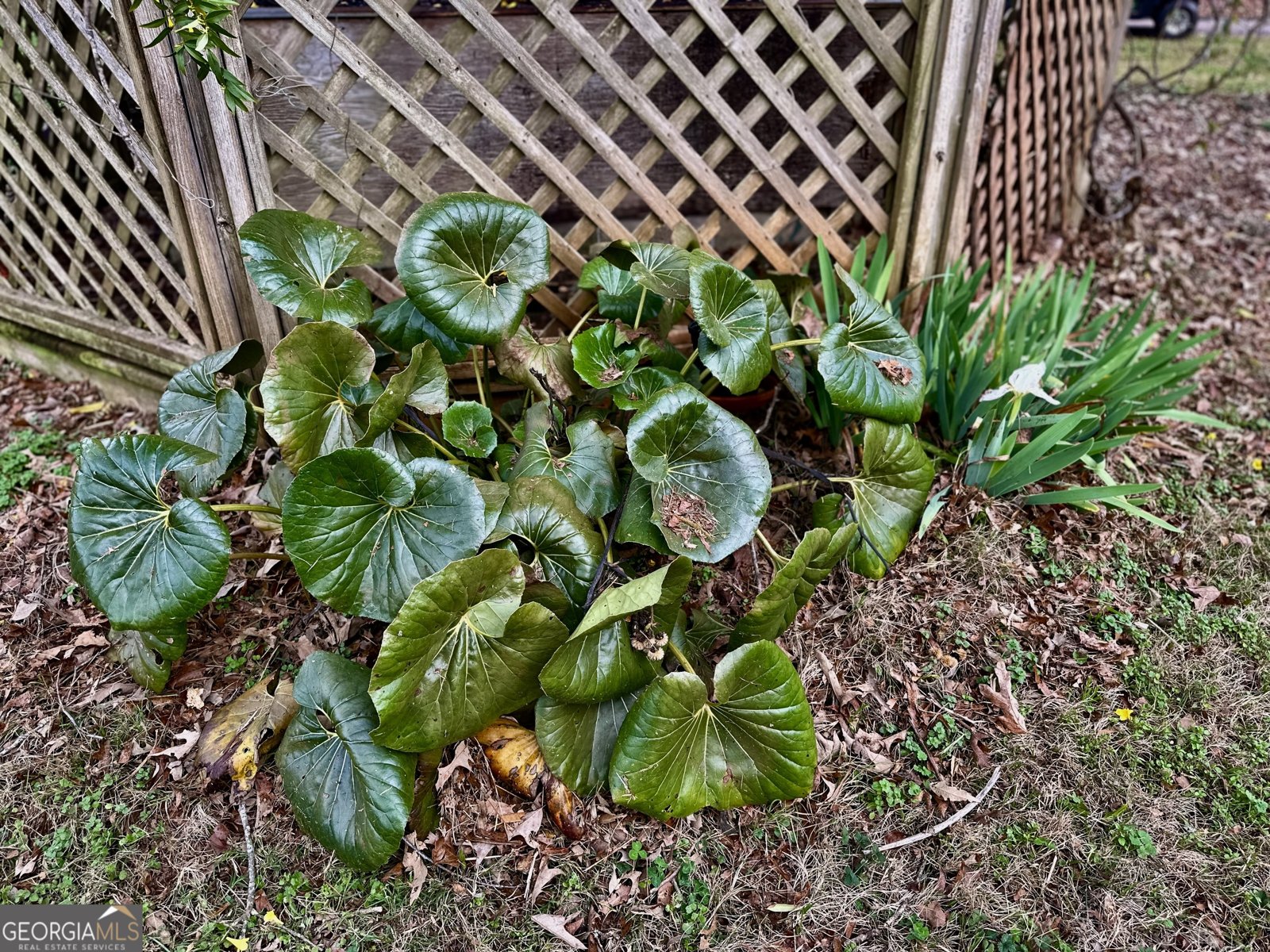 229 Meadows Road Newborn - Photo 53