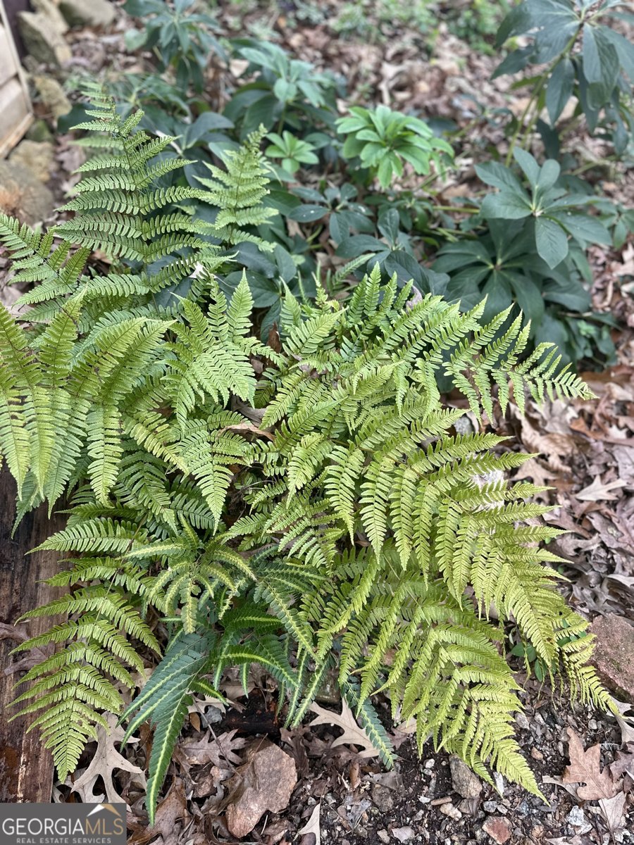 229 Meadows Road Newborn - Photo 54