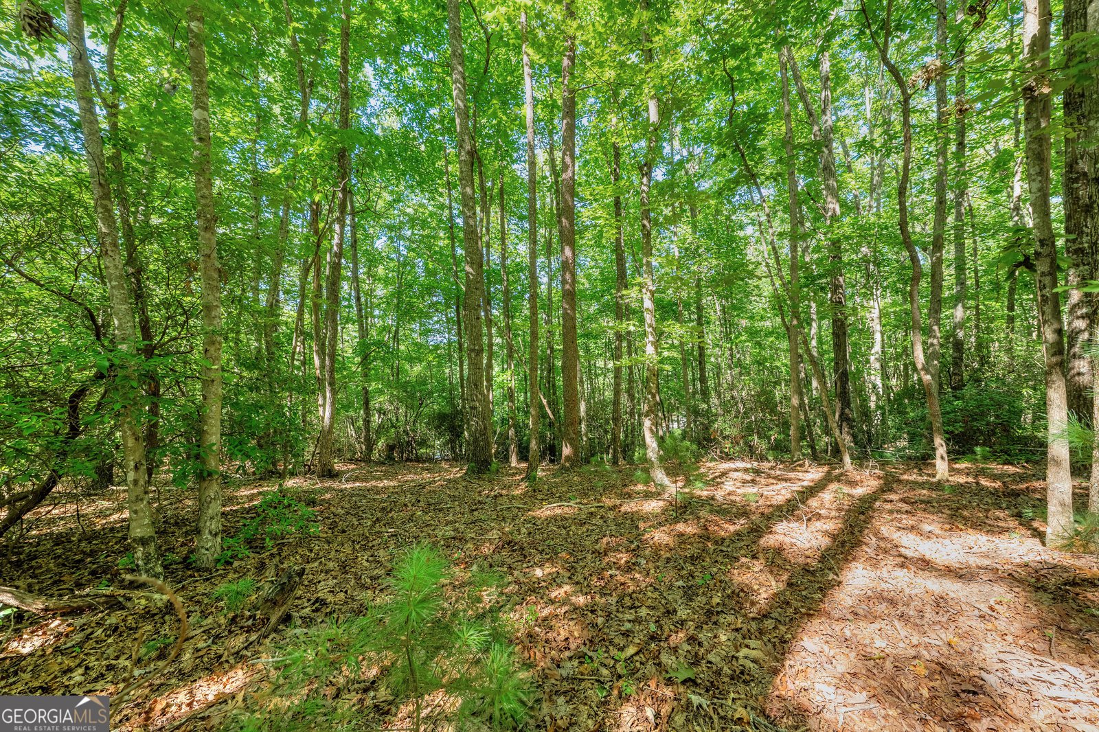 84 Knights Way Blairsville - Photo 40