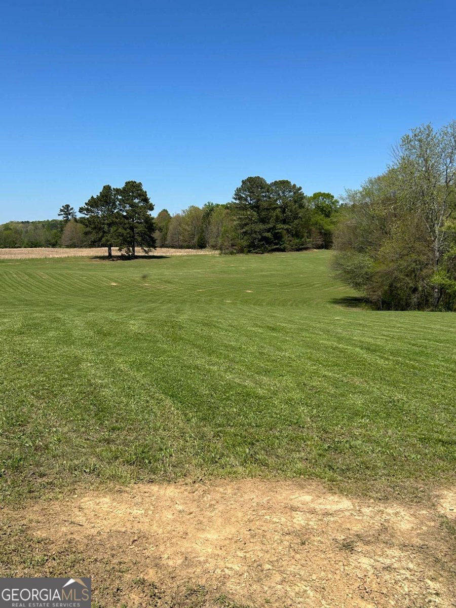 433 Spring Place Reseca Road Resaca - Photo 51