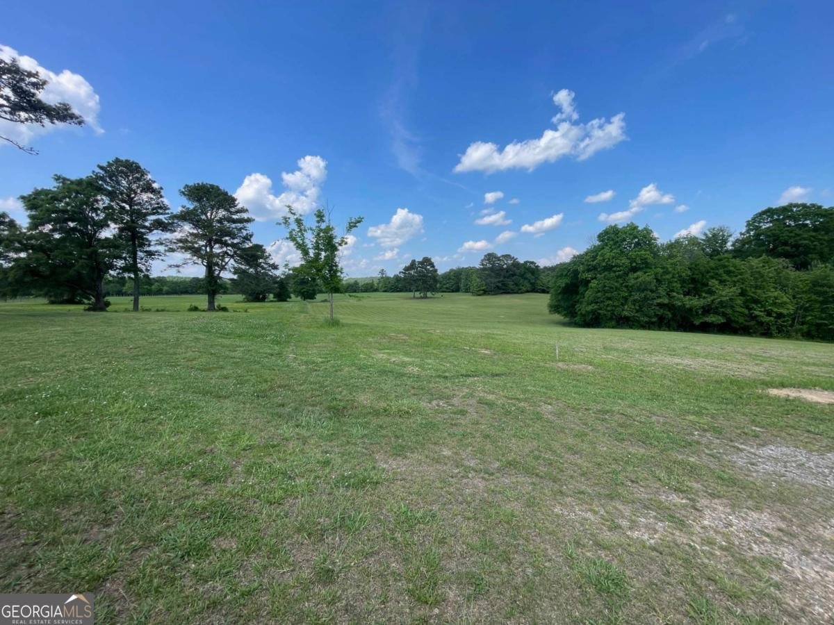 433 Spring Place Reseca Road Resaca - Photo 56