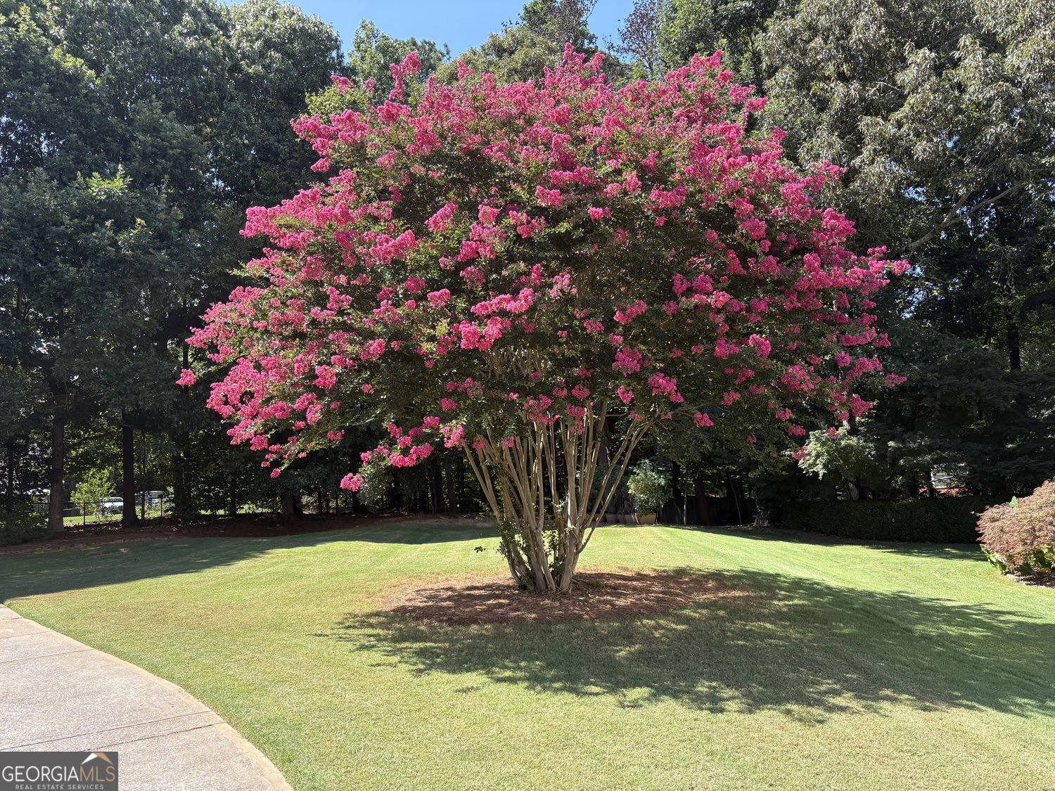 511 Chatfield Lane Marietta - Photo 46