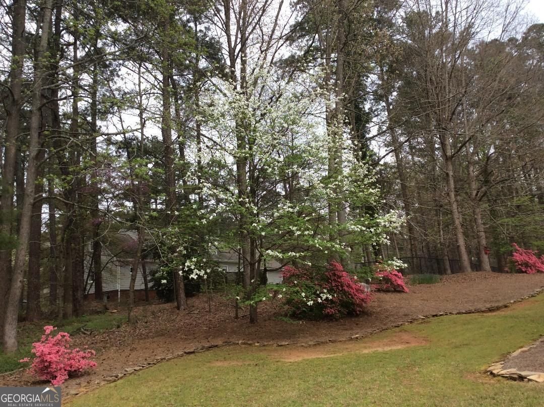 511 Chatfield Lane Marietta - Photo 51