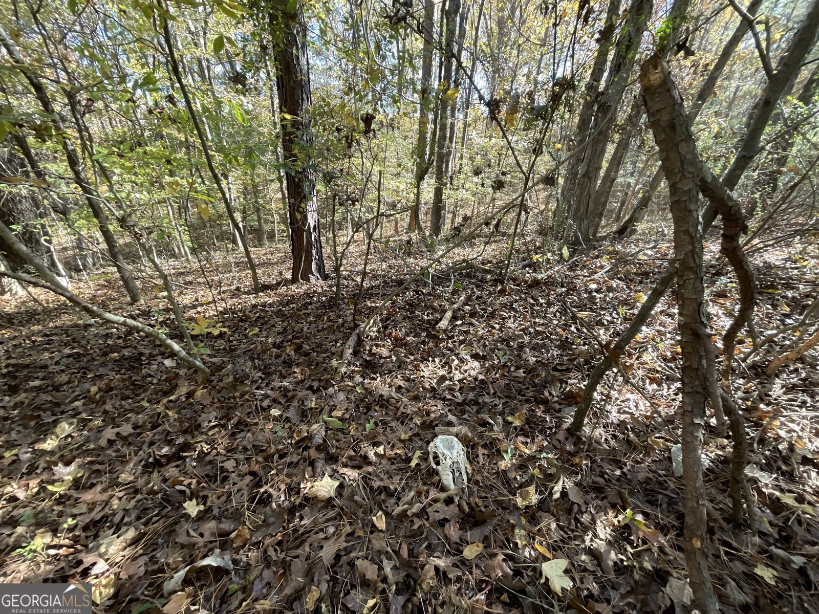 501 Raleigh Road Woodbury - Photo 49