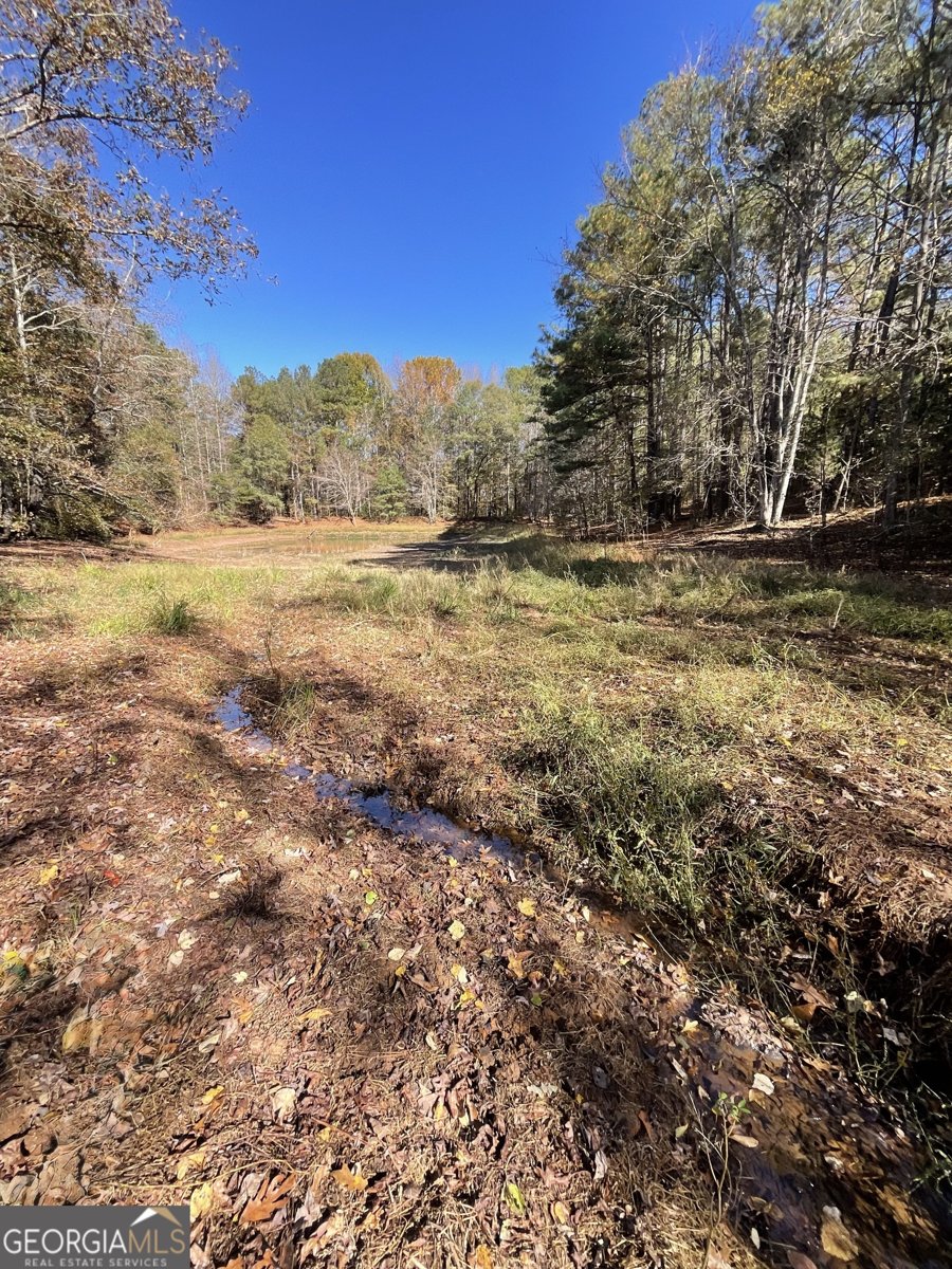 501 Raleigh Road Woodbury - Photo 57