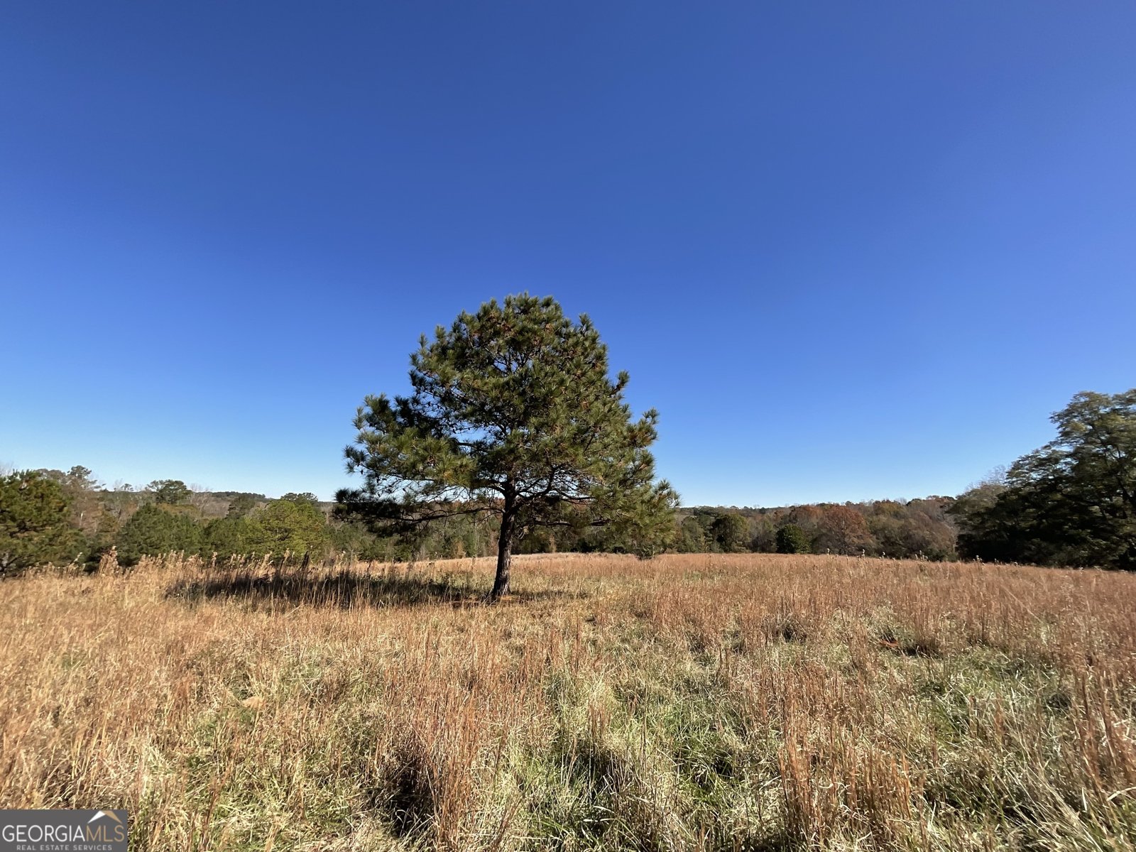 501 Raleigh Road Woodbury - Photo 89