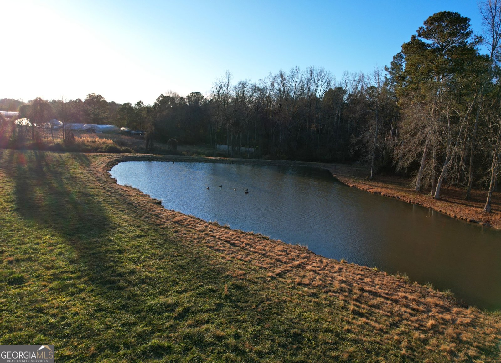 16 HWY 211 Statham - Photo 52