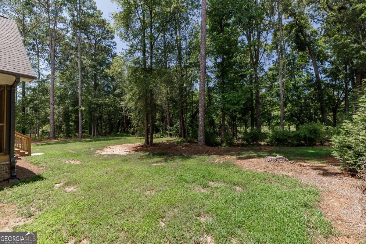 157 Main Street Watkinsville - Photo 67