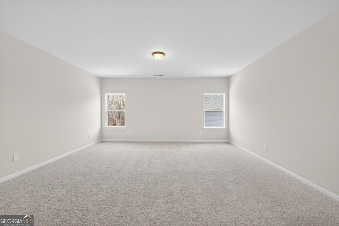 173 Thedford Drive Hoschton - Photo 29