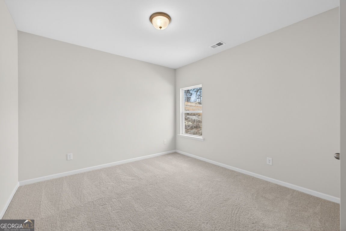 173 Thedford Drive Hoschton - Photo 31