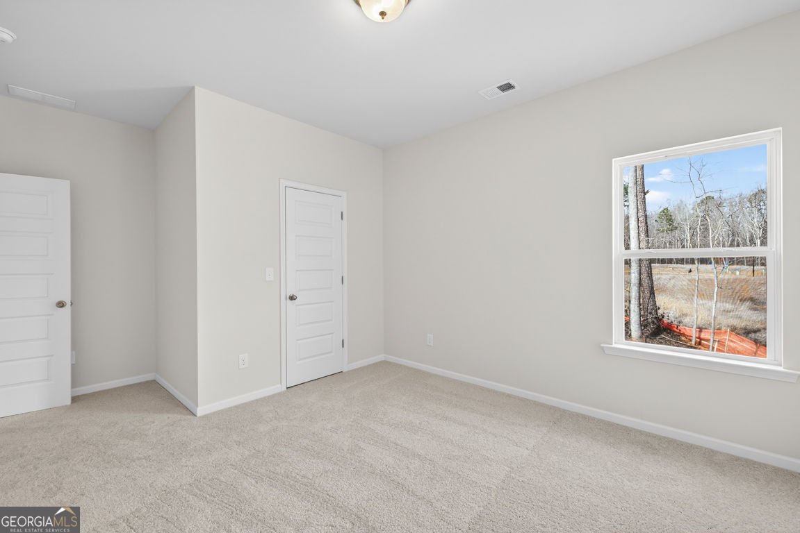 173 Thedford Drive Hoschton - Photo 33