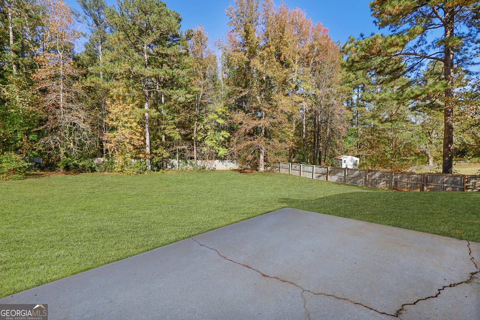 3019 Ryan Road Locust Grove - Photo 8