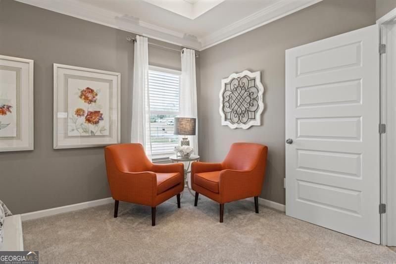 18 Thedford Drive Hoschton - Photo 19