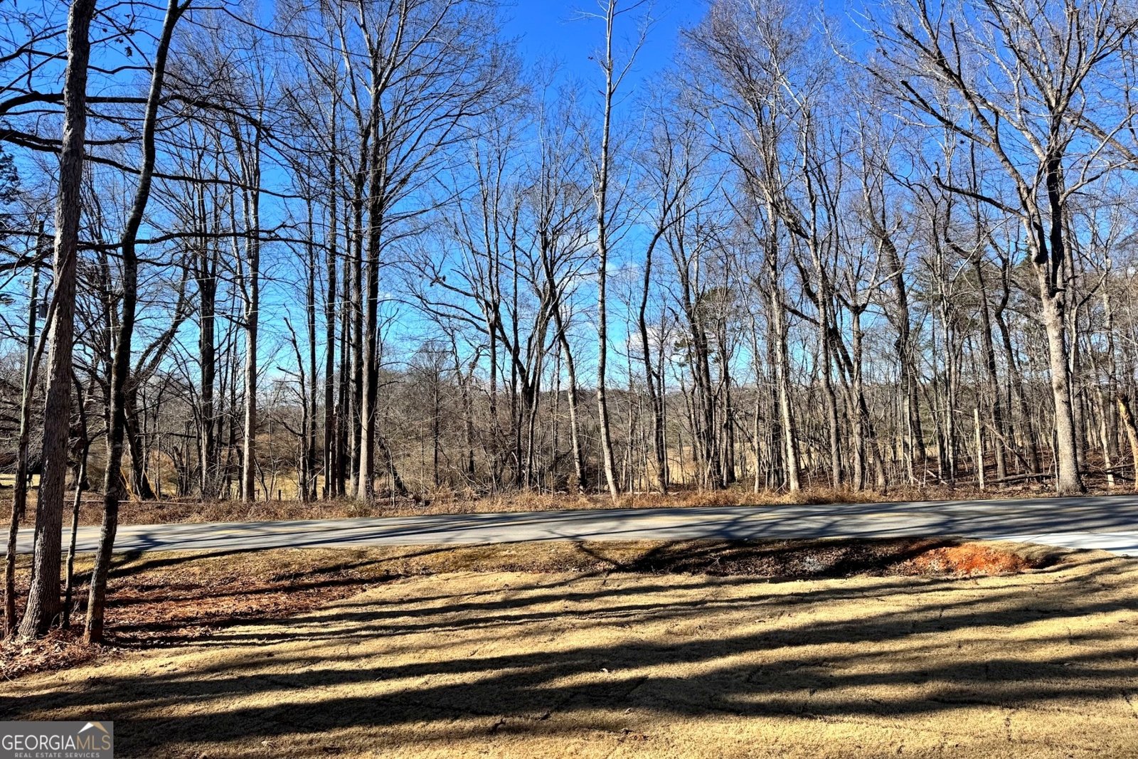 954 The Orchard Road Clarkesville - Photo 32