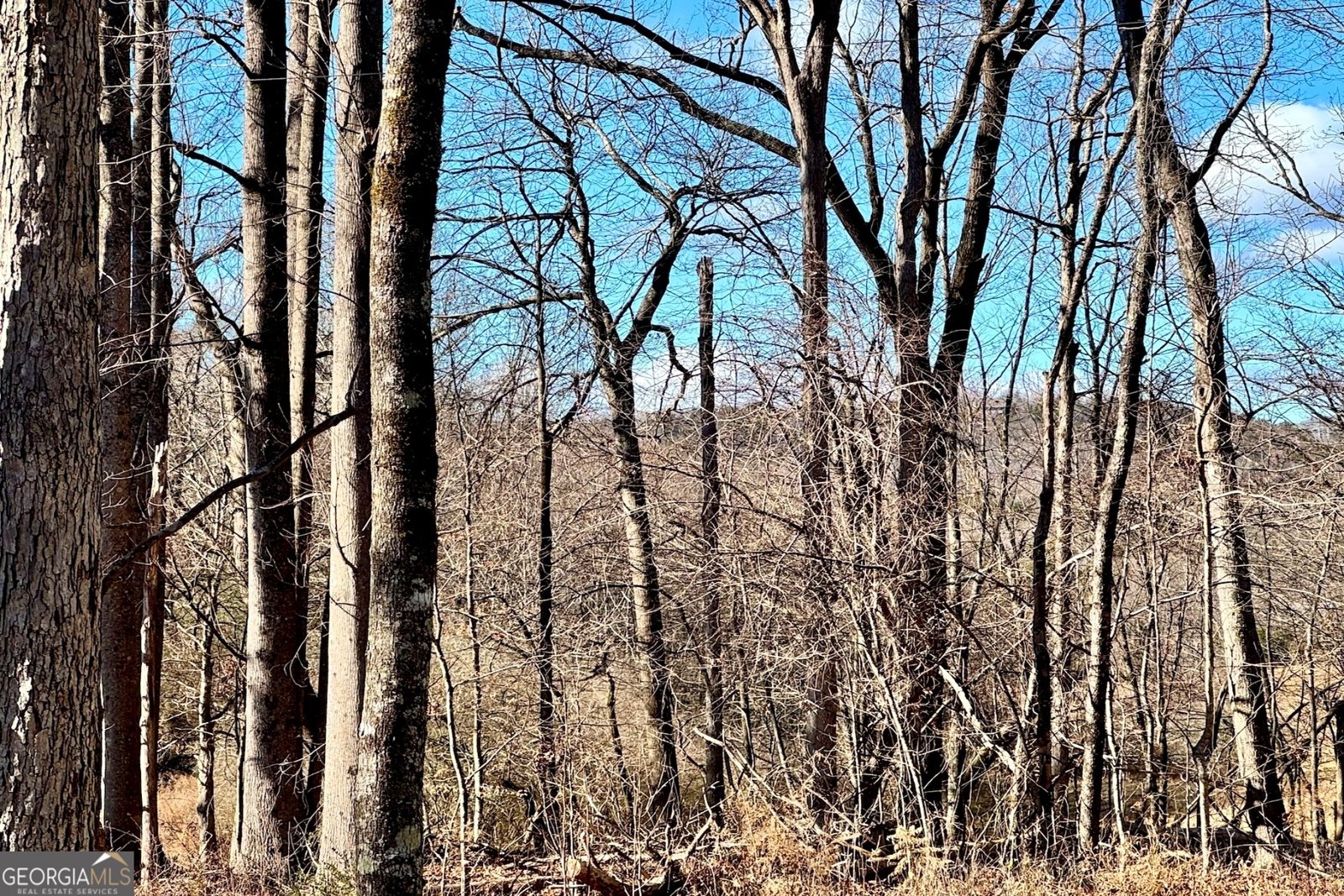 954 The Orchard Road Clarkesville - Photo 34