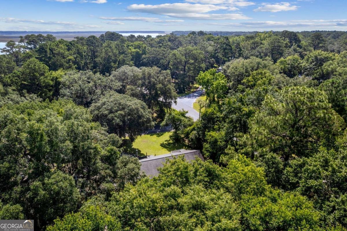 15 Marsh View Court St. Marys - Photo 49