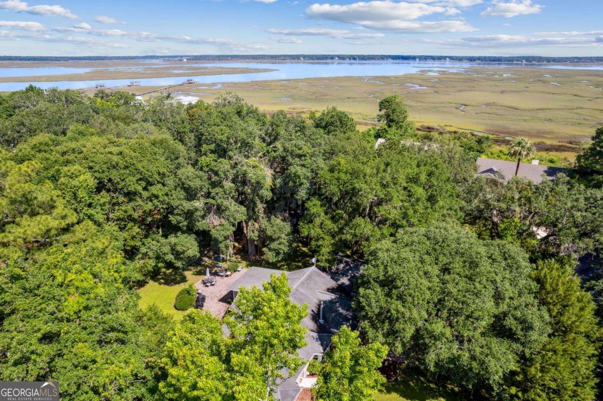 15 Marsh View Court St. Marys - Photo 54