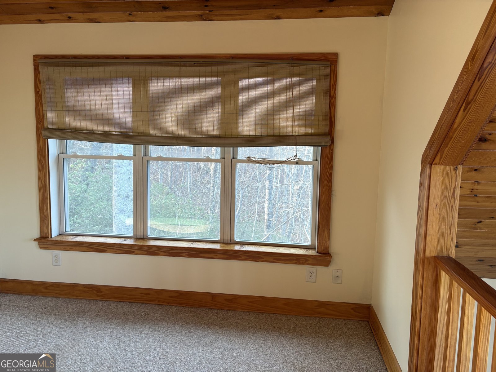 2585 Panorama Drive Sautee Nacoochee - Photo 33