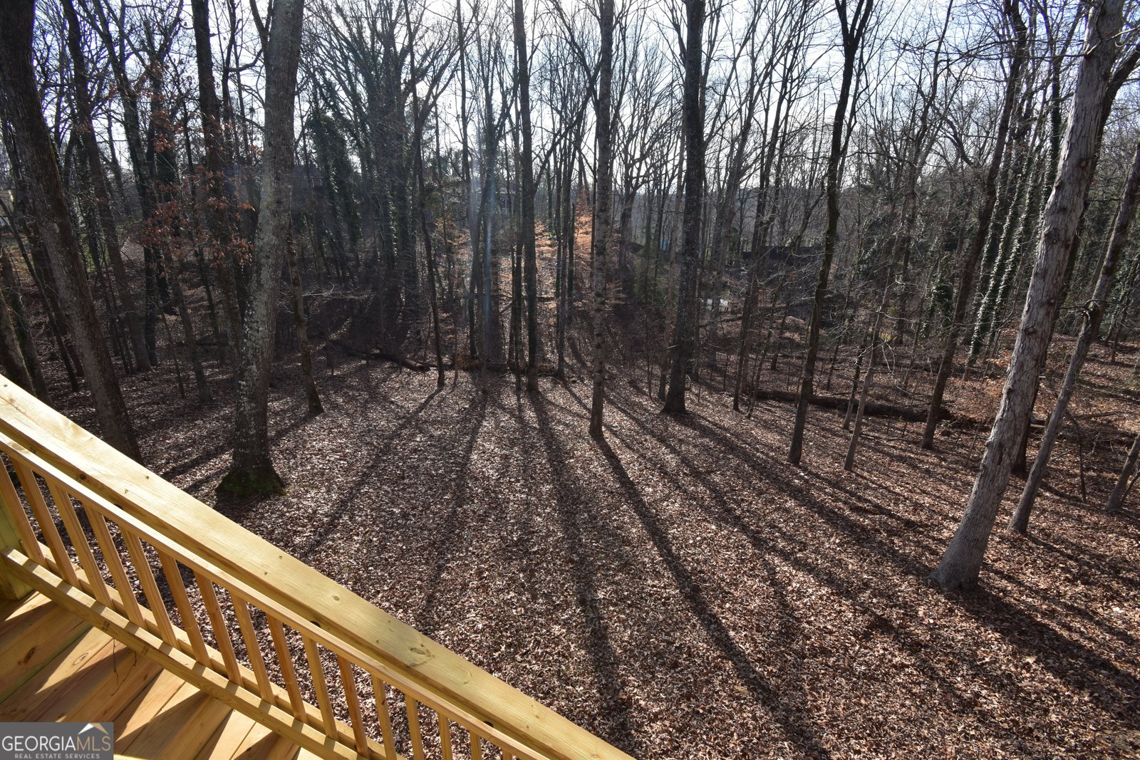 116 Plantation Trace Woodstock - Photo 26