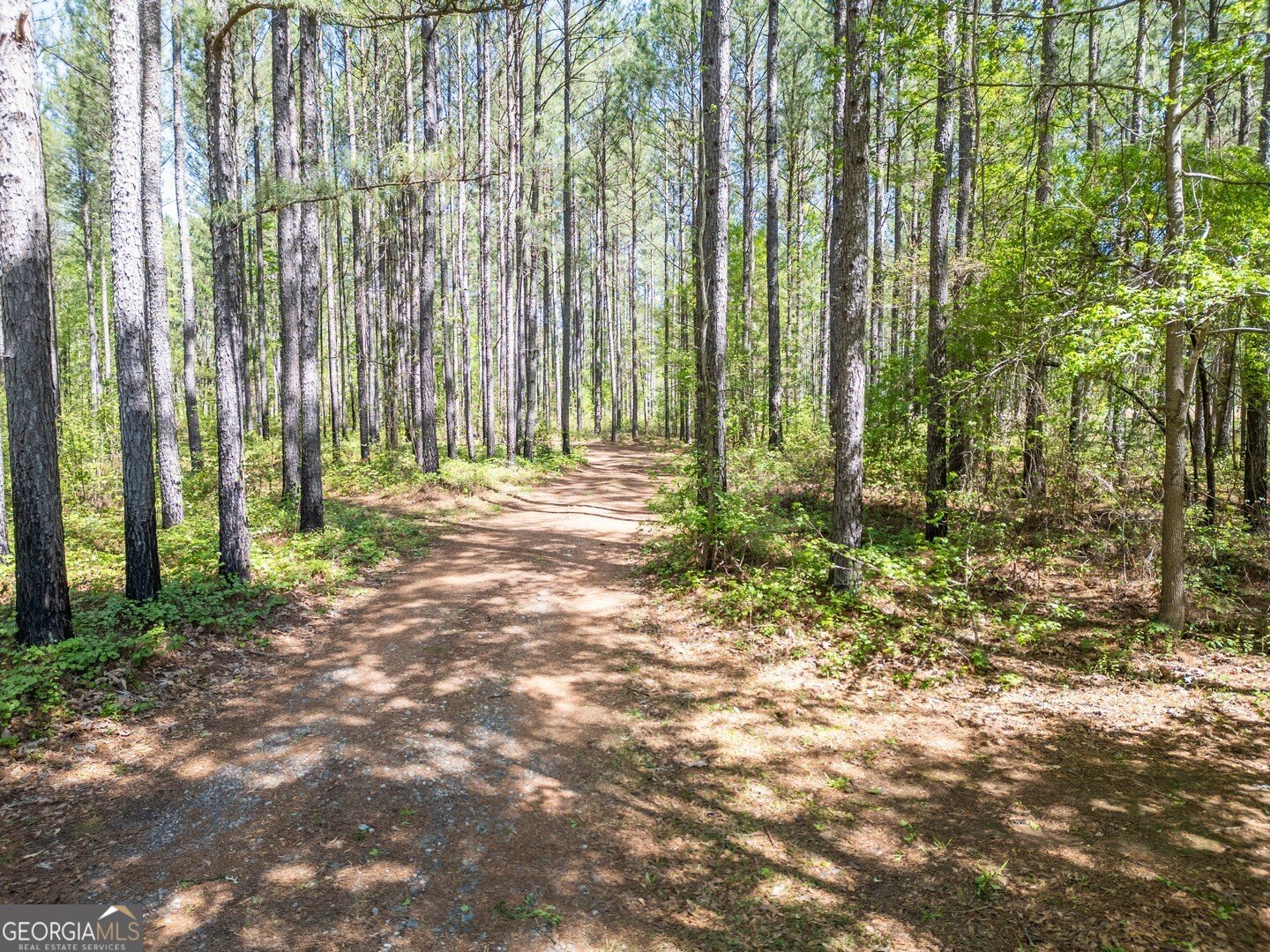 7485 Goolsby Road Monticello - Photo 49