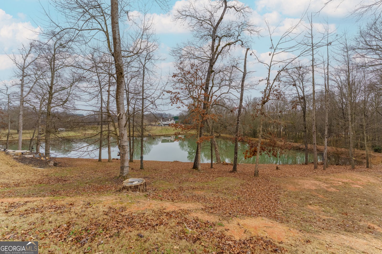 702 Cambridge Farms Drive Hoschton - Photo 36